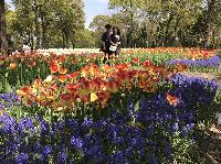 IMG_4878.JPG