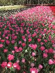 IMG_4893.JPG