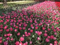 IMG_4894.JPG