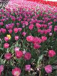 IMG_4898.JPG