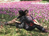 IMG_4982.JPG