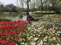 IMG_5028.JPG