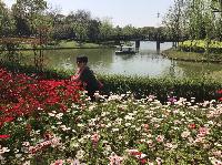 IMG_5033.JPG
