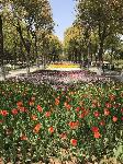 IMG_5036.JPG