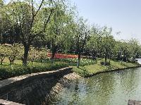 IMG_5039.JPG