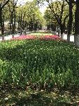 IMG_5040.JPG