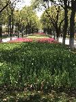 IMG_5041.JPG