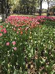 IMG_5048.JPG