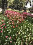 IMG_5049.JPG