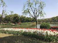 IMG_5073.JPG