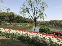 IMG_5074.JPG