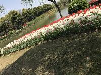IMG_5075.JPG