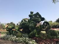 IMG_5094.JPG
