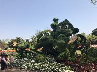IMG_5097.JPG