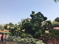 IMG_5098.JPG