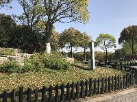 IMG_5134.JPG