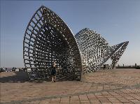 IMG_5146.JPG