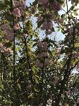 IMG_5196.JPG