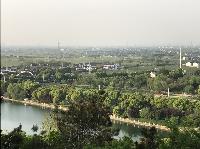 IMG_5219.JPG