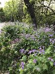 IMG_5220.JPG