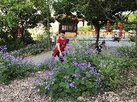 IMG_5231.JPG