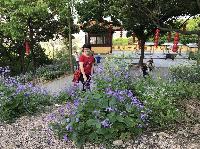 IMG_5232.JPG