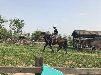 IMG_5256.JPG