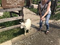 IMG_5328.JPG