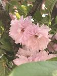 IMG_5451.JPG