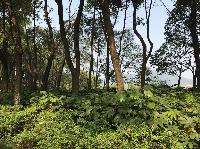 IMG_5488.JPG