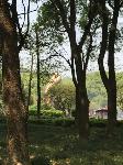 IMG_5491.JPG