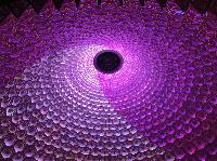 IMG_5619.JPG