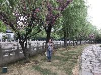 IMG_5627.JPG
