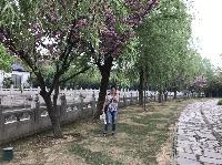 IMG_5628.JPG