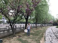 IMG_5629.JPG
