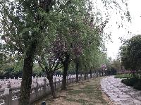 IMG_5667.JPG