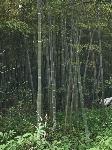 IMG_6904.JPG