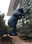IMG_9435.JPG