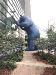 IMG_9474.JPG