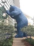 IMG_9479.JPG