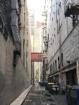 IMG_9503.JPG