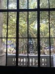 IMG_0702.JPG