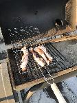IMG_2682.JPG