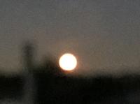 IMG_2718.JPG