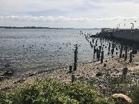 IMG_4413.JPG