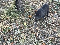 IMG_6434.JPG