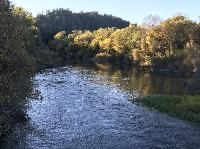 IMG_6459.JPG