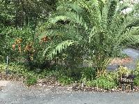 IMG_6532.JPG
