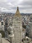 IMG_4779.JPG