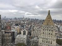 IMG_4785.JPG